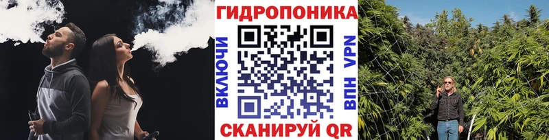 Галлюциногенные грибы Ахтырский