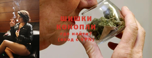 гашик Бородино