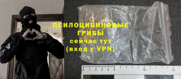 стаф Верея