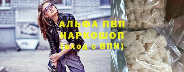гашик Бородино