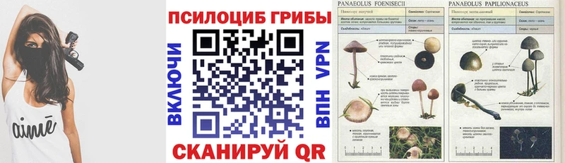 Псилоцибиновые грибы MAGIC MUSHROOMS  Ахтырский 